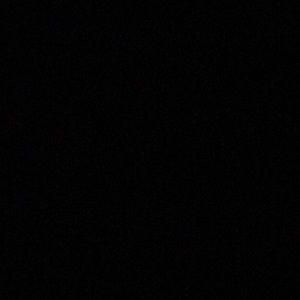 Meet your Posher, Jake